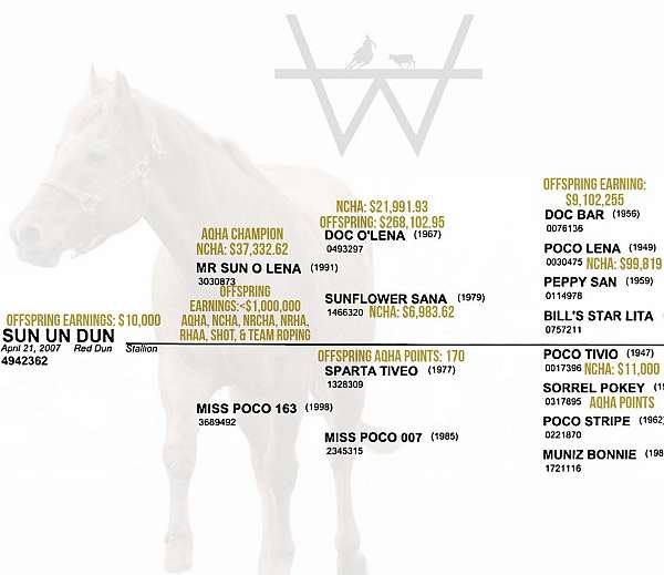 bar-w-quarter-horse
