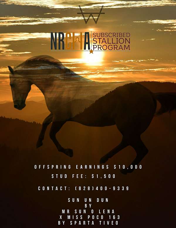 red-dun-primitive-markings-horse