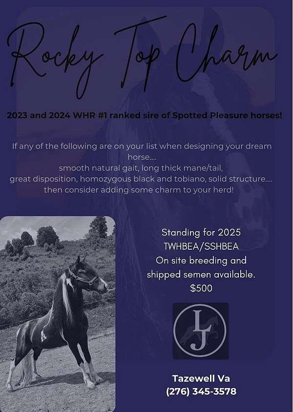 champion-tennessee-walking-horse