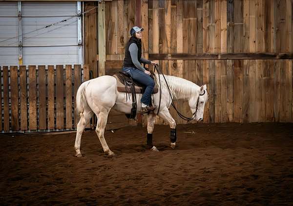 cremello-calf-roping-horse