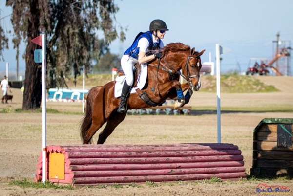 athletic-natl-sport-perf-pony