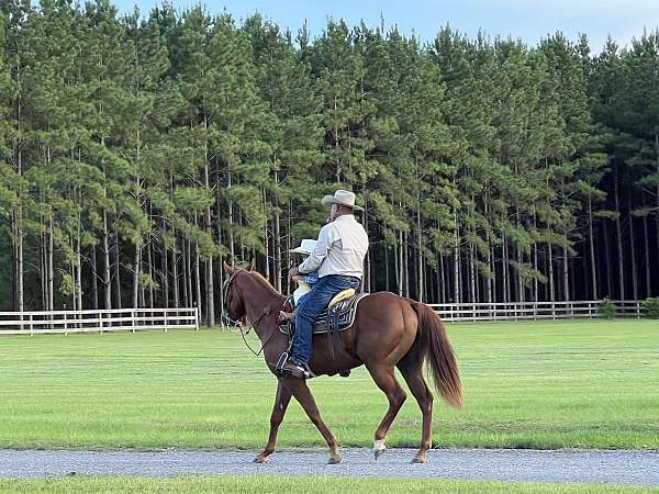 chestnut-reining-horse