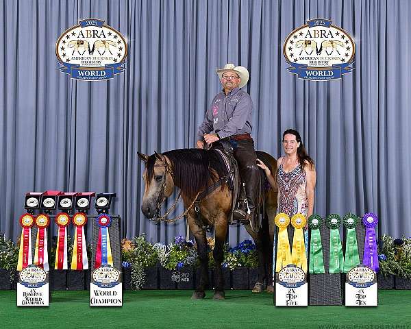 show-winner-stallion