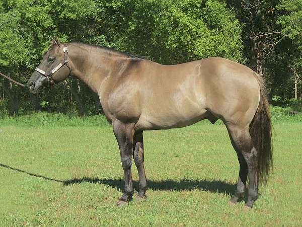 grulla