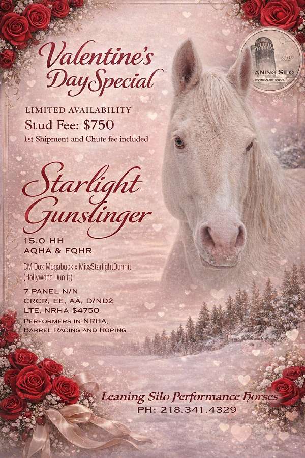 panel-clean-quarter-horse