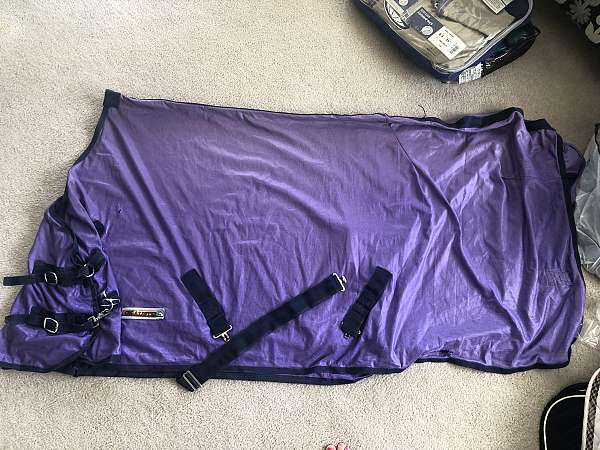 purple-tack-supplies