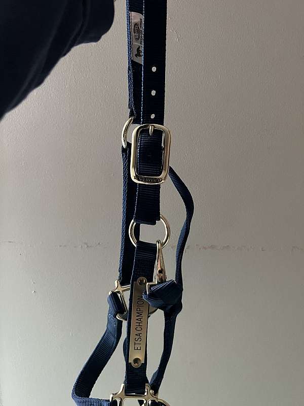 Nylon halter for sale