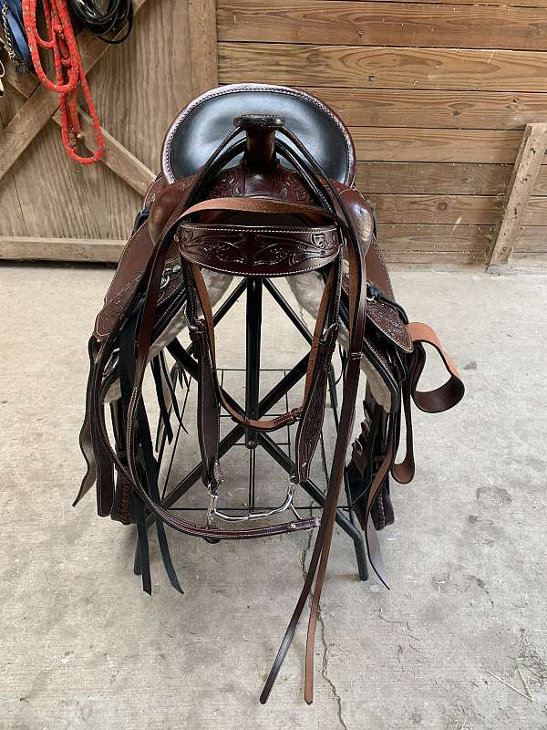 trail-horse-shipping-for-sale