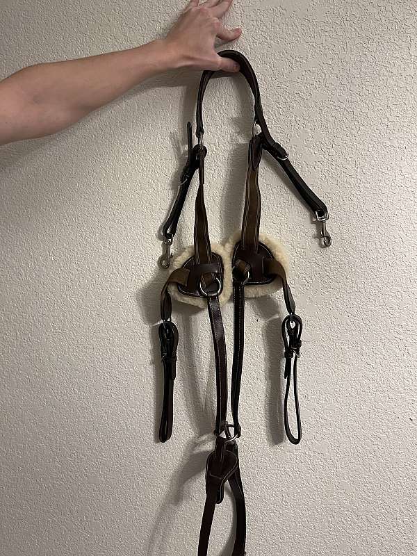 english breast collar for sale