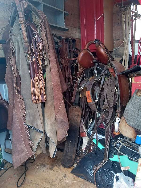 english-western-tack-supplies-nebo-nc