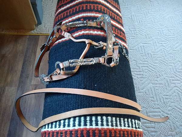 horse-halters-for-sale