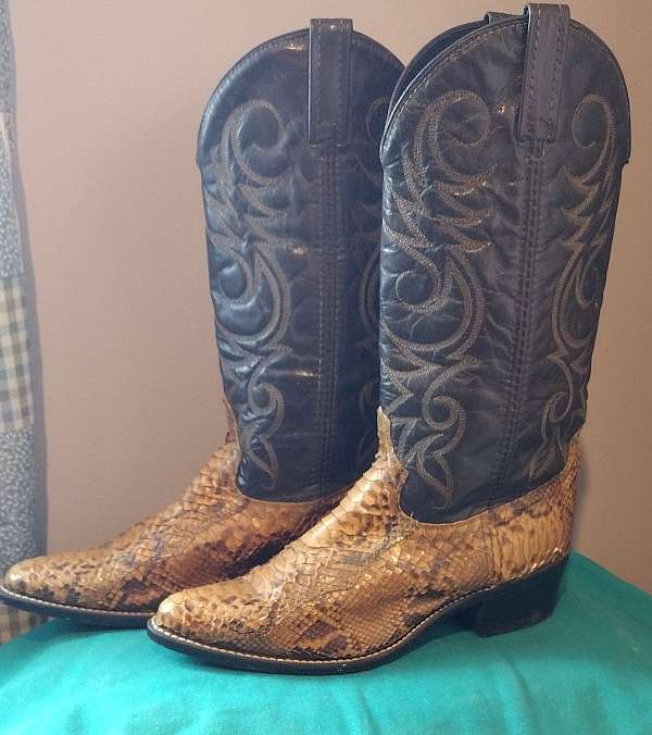 western-horse-footwear-for-sale