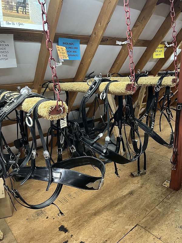 western-tack-supplies-greer-sc