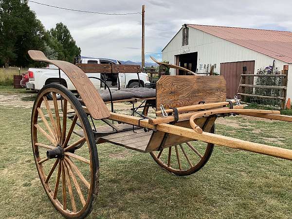 tan-tack-supplies-in-lander-wy