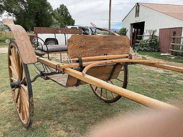 antique-tan-tack-supplies