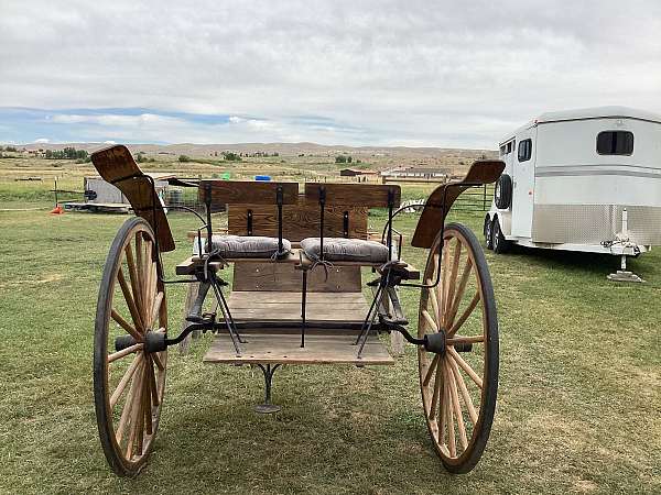antique-tack-in-lander-wy