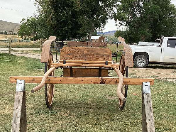 tack-supplies-in-lander-wy
