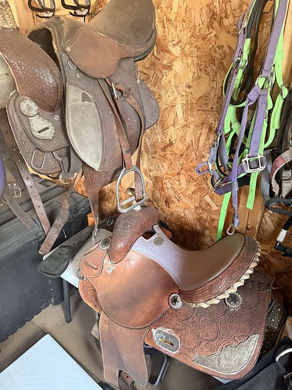 english-western-tack-supplies-st-cloud-fl