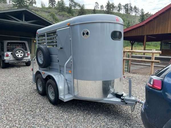 silver-trailer-with-a-rear-loading-spare-tire