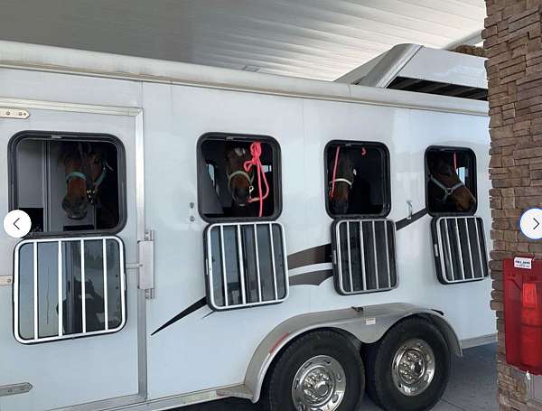 2016-horse-trailer