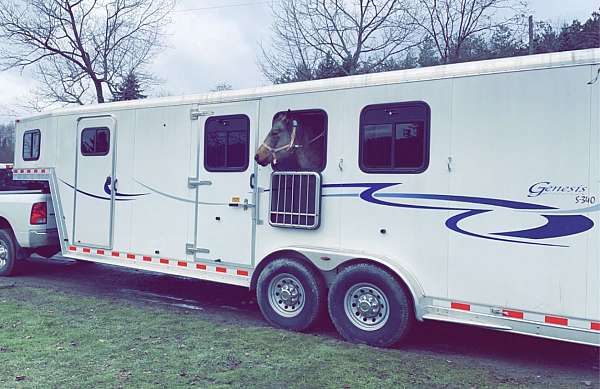 bed-trailer-in-sherburne-ny