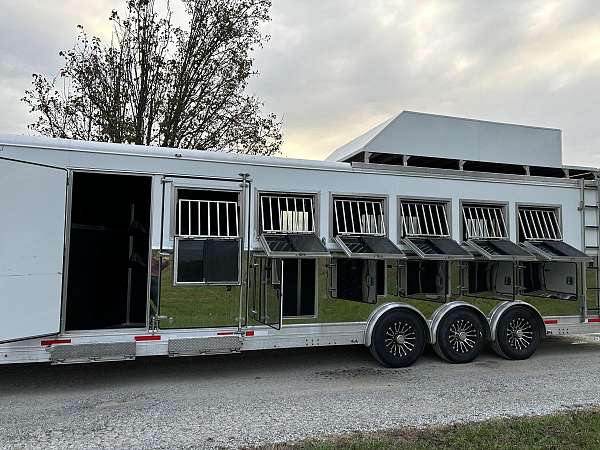 6-horse-trailer-with-radio