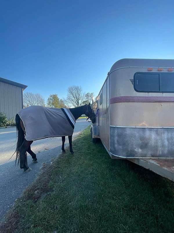 escape-door-trailer-in-maine