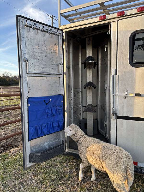 3-horse-trailer-in-kansas