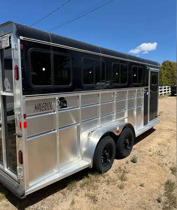 spare-tire-trailer-in-washoe-valley-nv
