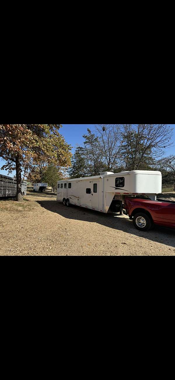 2010-horse-trailer