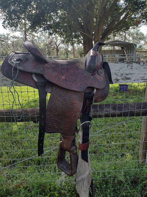 brown-american-saddle