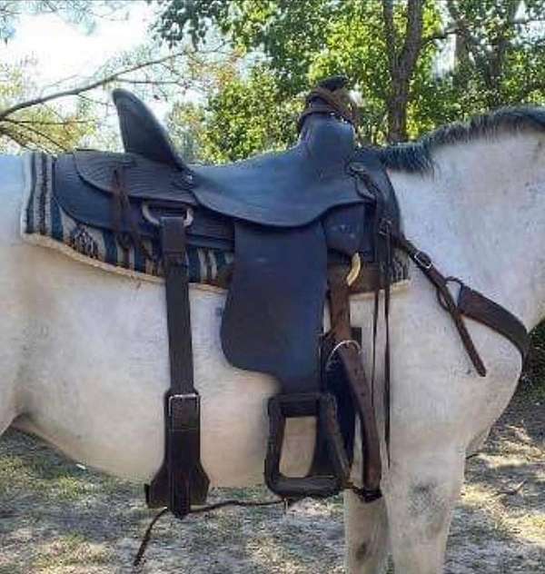 brown-simco-saddle