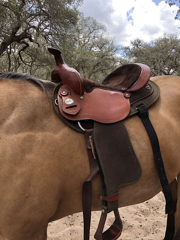 brown-all-around-saddle