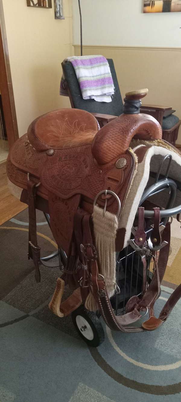 texas-star-competition-saddle