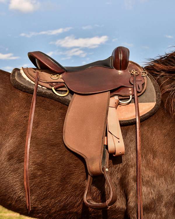 brown-circle-y-all-around-saddle