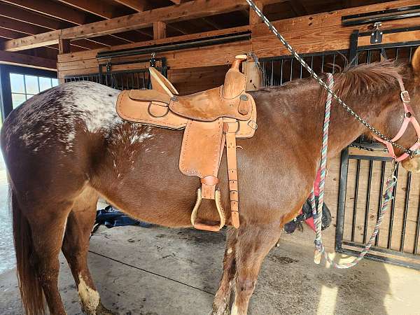 tan-leather-saddle