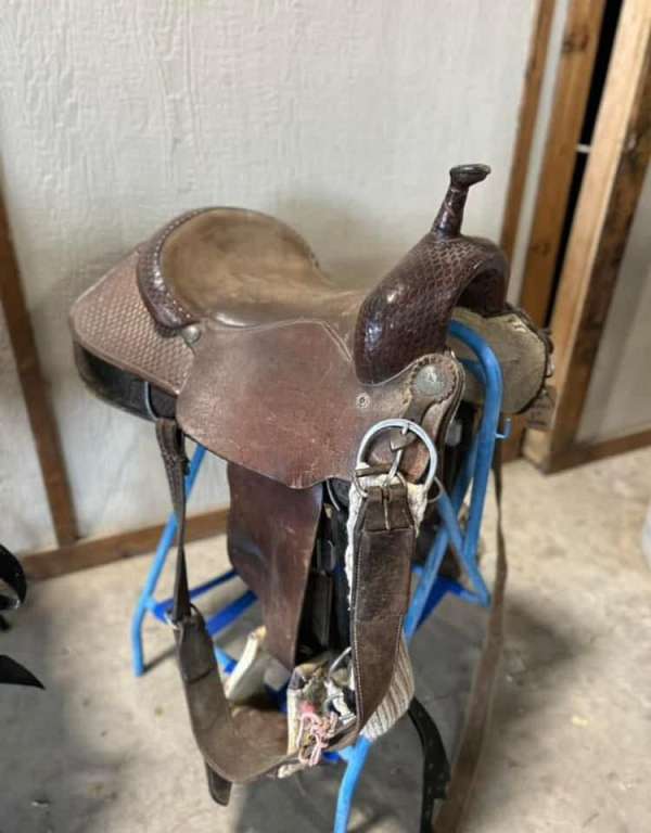 tan-competition-saddle