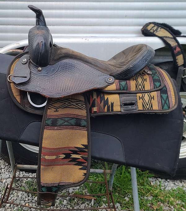 black-american-saddle