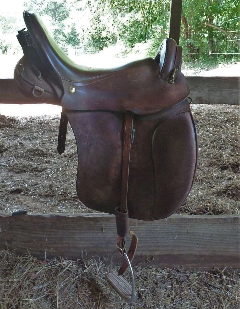 Used English Saddles for Sale