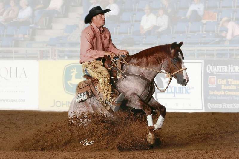 Reined Cow Horses for Sale