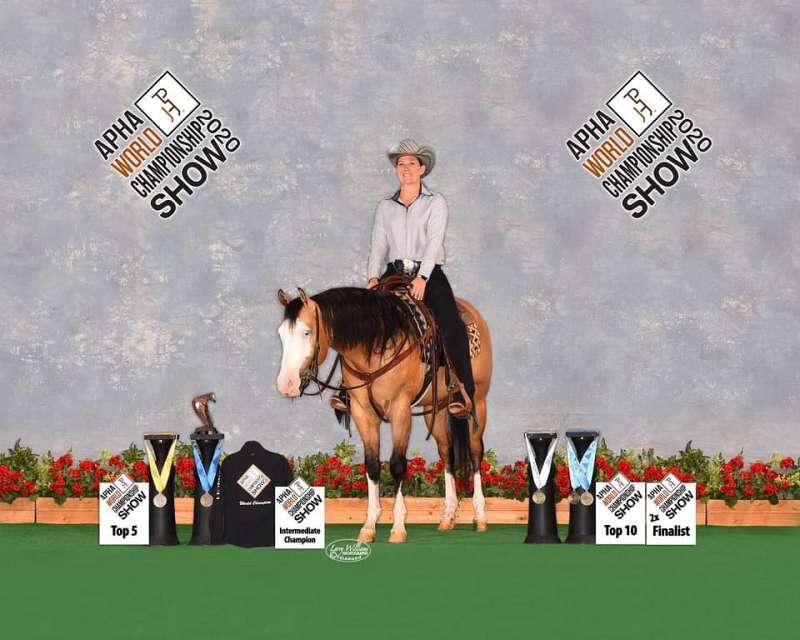 Horses for Sale in Colorado