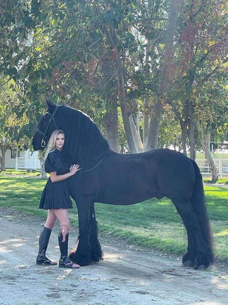 Horses in Bakersfield