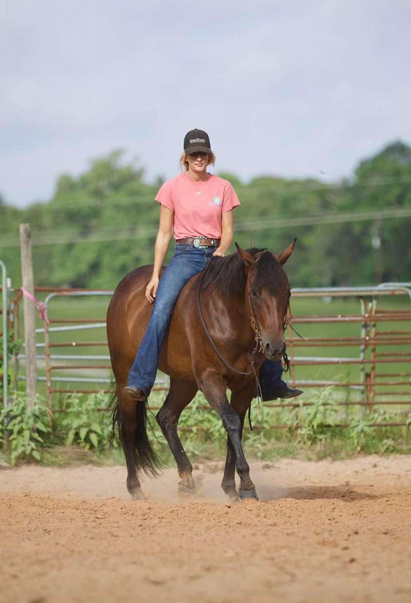 amateur aqha jumping classes family groups
