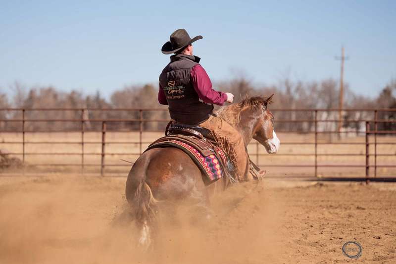 Jigsaw - Jaw Dropping Stunning 6 Yr Old Sorrel AQHA APHA Gelding.
