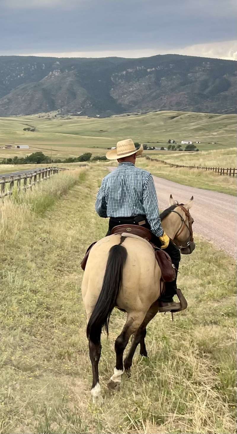 Quartered Rodeo 14 Year Old Quarter Horse; Rodeo, Trails, Ranch