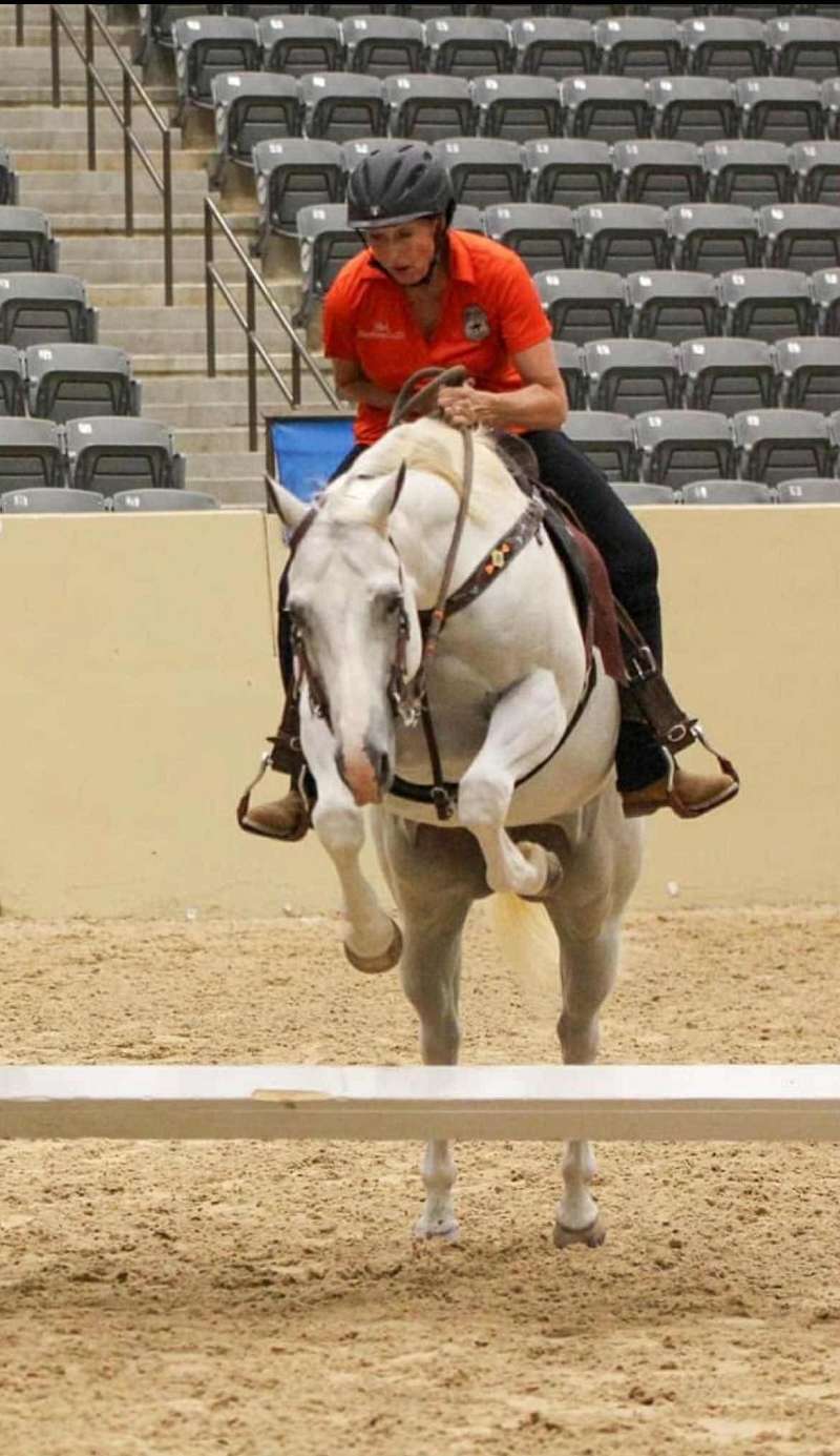 Fall Catalog Horse Sale