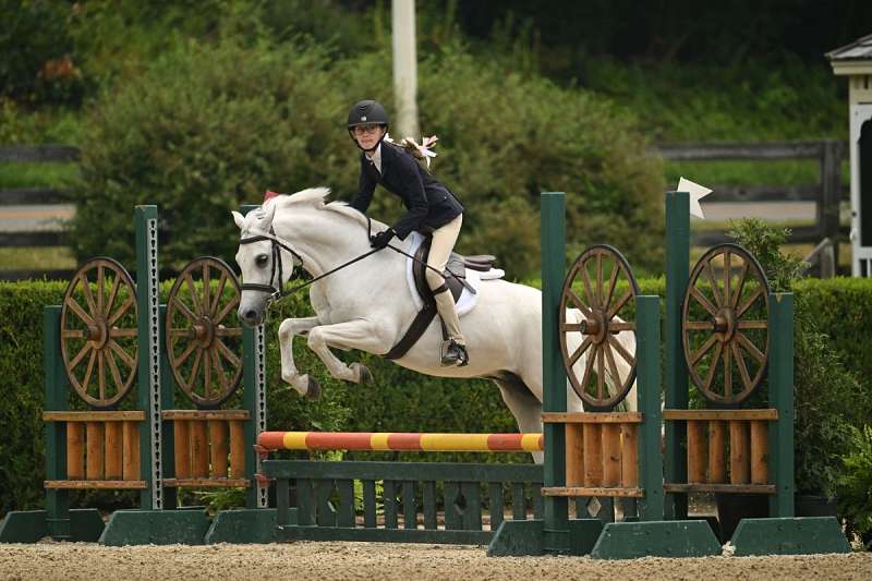 Competitive Medium Green Hunter/Jumper Pony