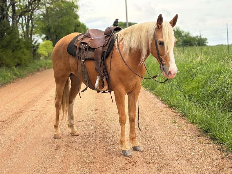 Golden Palominos アナログ4枚セット帯なしの為特価 Golden Palomino Horses for Sale
