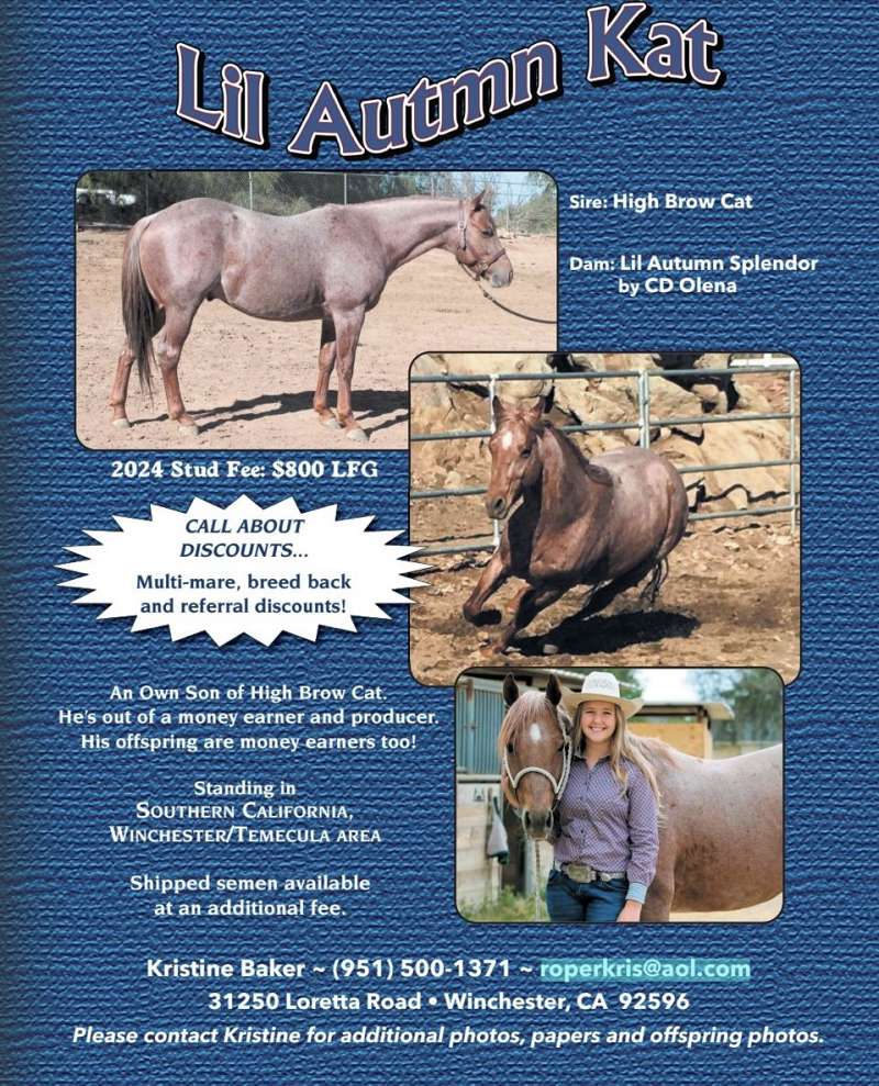 Red Roan Quarter Horse Stallion Directory