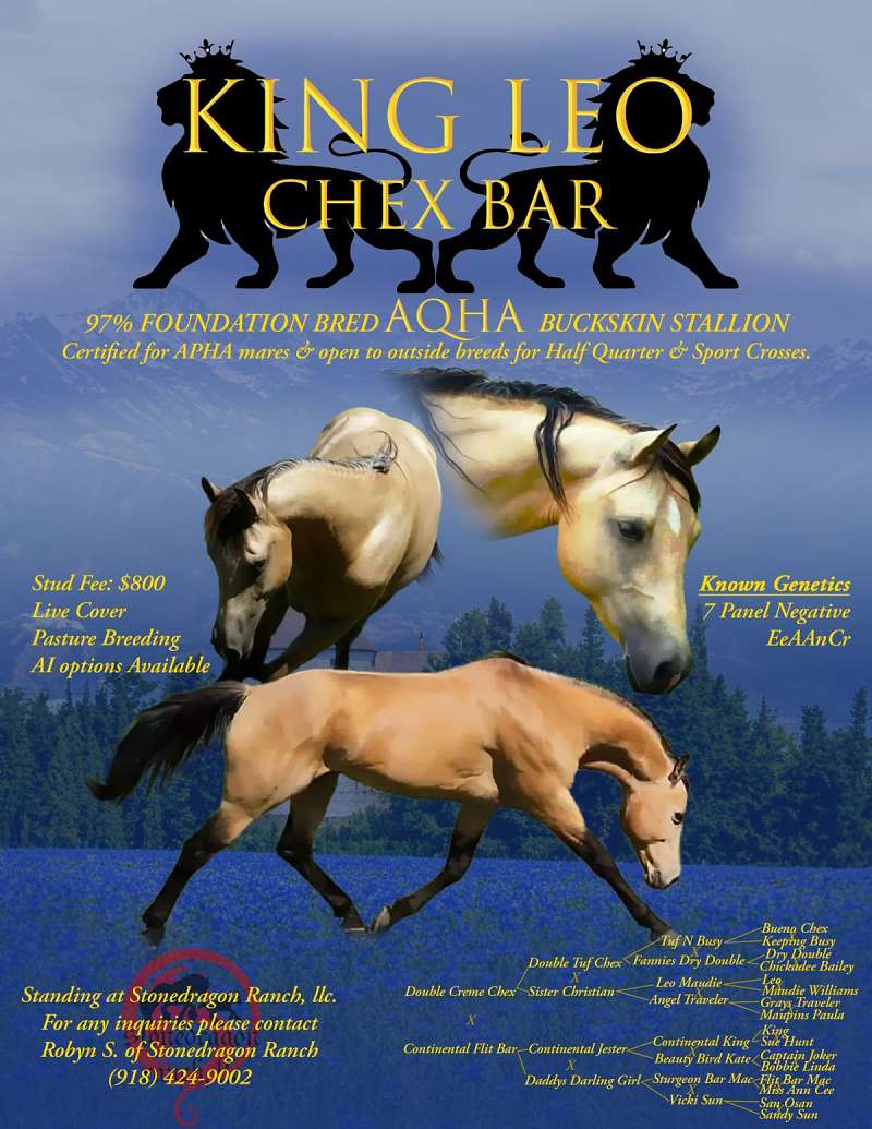 Cutting Stallion Directory